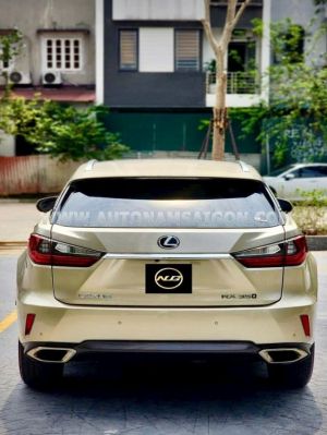 Xe Lexus RX 350 2019