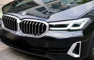 Xe BMW 5 Series 520i Luxury 2020