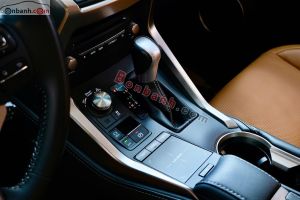 Xe Lexus NX 300 2018