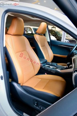 Xe Lexus NX 300 2018