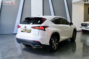 Xe Lexus NX 300 2018