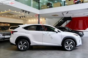 Xe Lexus NX 300 2018