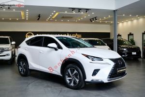 Xe Lexus NX 300 2018