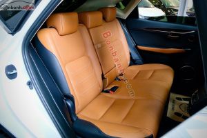 Xe Lexus NX 300 2018