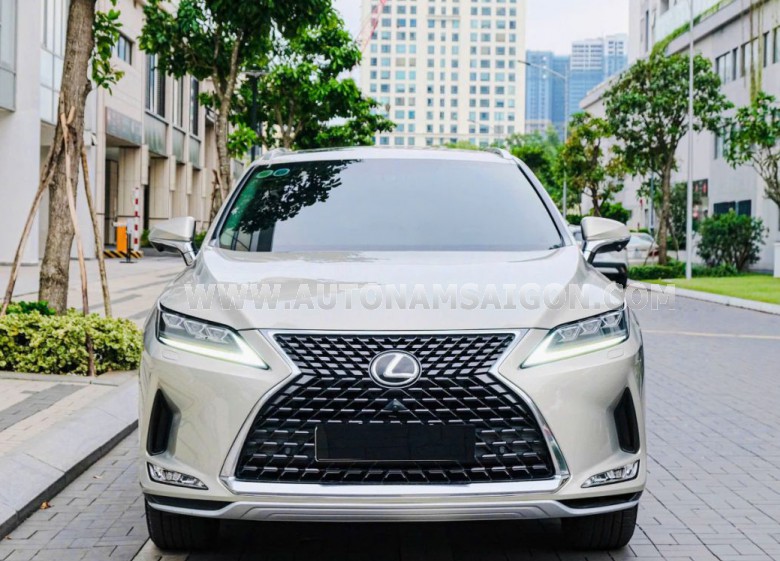 Lexus RX 300 2021