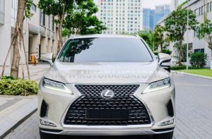 Xe Lexus RX 300 2021