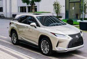 Xe Lexus RX 300 2021