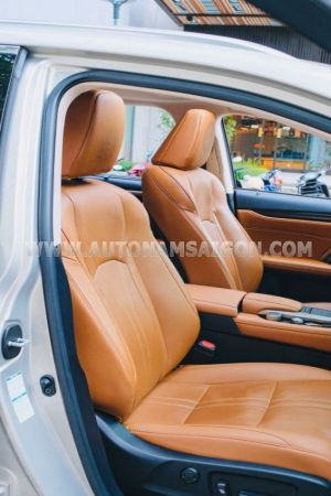 Xe Lexus RX 300 2021