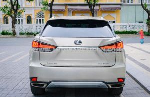 Xe Lexus RX 300 2021