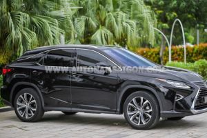 Xe Lexus RX 300 2019