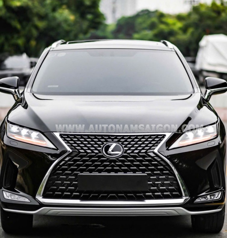 Lexus RX 300 2022