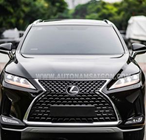 Xe Lexus RX 300 2022
