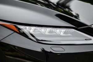 Xe Lexus RX 300 2022