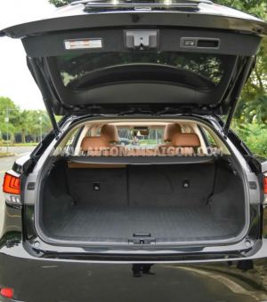 Xe Lexus RX 300 2022