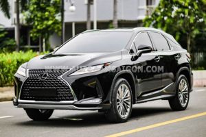 Xe Lexus RX 300 2022