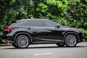 Xe Lexus RX 300 2022