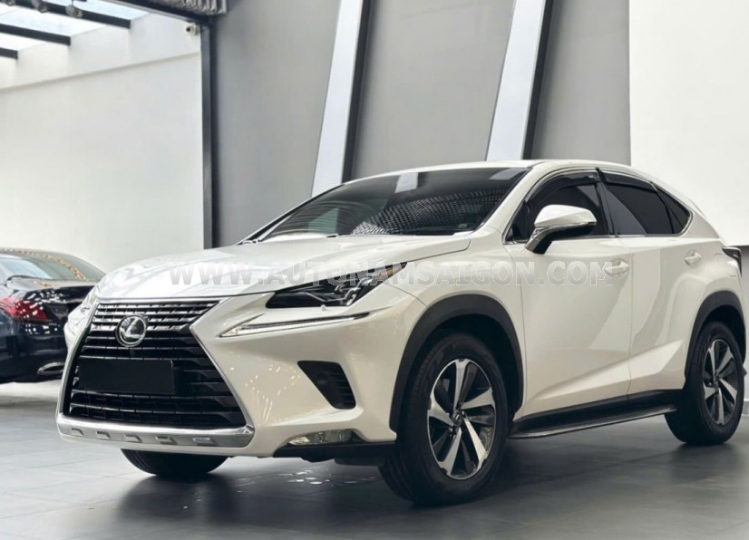 Lexus NX 300 2019