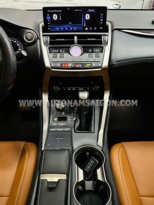 Xe Lexus NX 300 2019