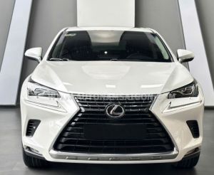 Xe Lexus NX 300 2019