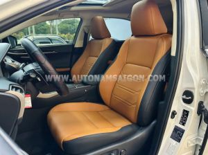 Xe Lexus NX 300 2019
