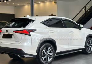 Xe Lexus NX 300 2019