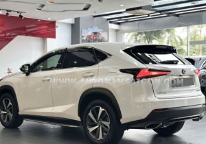 Xe Lexus NX 300 2019