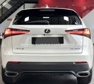 Xe Lexus NX 300 2019