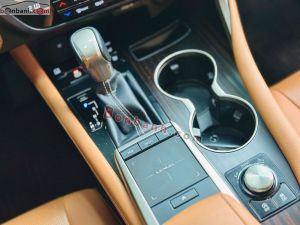 Xe Lexus RX 300 2020
