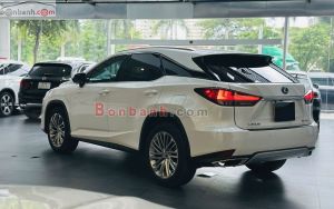 Xe Lexus RX 300 2020