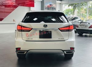 Xe Lexus RX 300 2020