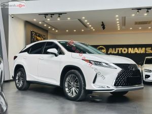 Xe Lexus RX 300 2020