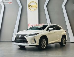 Xe Lexus RX 300 2020