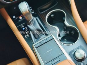 Xe Lexus RX 300 2020