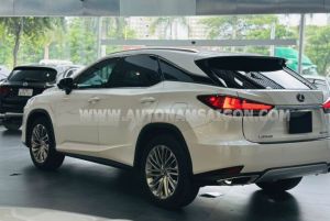 Xe Lexus RX 300 2020
