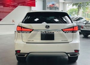 Xe Lexus RX 300 2020