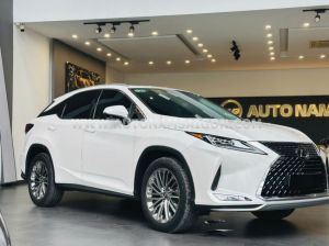 Xe Lexus RX 300 2020