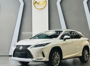 Xe Lexus RX 300 2020
