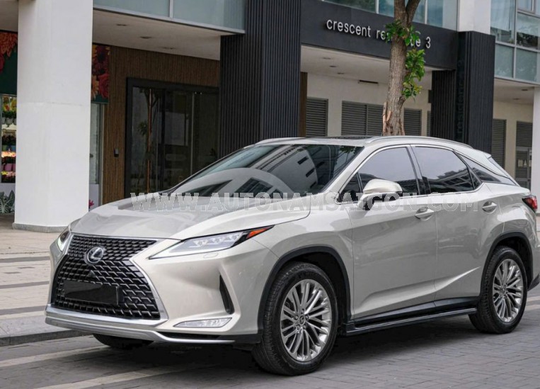 Lexus RX 300 2021