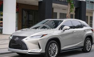 Xe Lexus RX 300 2021