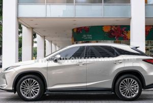 Xe Lexus RX 300 2021