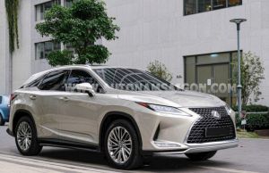 Xe Lexus RX 300 2021