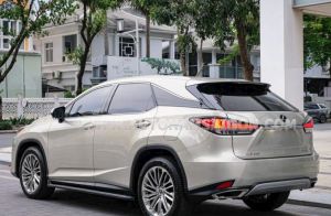 Xe Lexus RX 300 2021