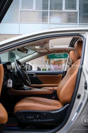 Xe Lexus RX 300 2021