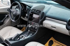 Xe Mercedes Benz SLK class SLK 350 2009
