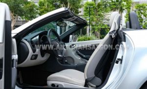 Xe Mercedes Benz SLK class SLK 350 2009