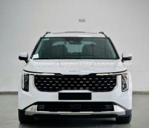 Xe Kia Carnival Signature 2.2D 2024